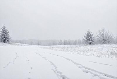 The image features a snowy field with a tree in the background. The primary subject is a set of footprints in the snow, which are visible in the foreground. The setting is a snowy landscape, and the visual style appears to be a photo. The colors and mood of the image are predominantly white, giving it a serene and peaceful atmosphere.